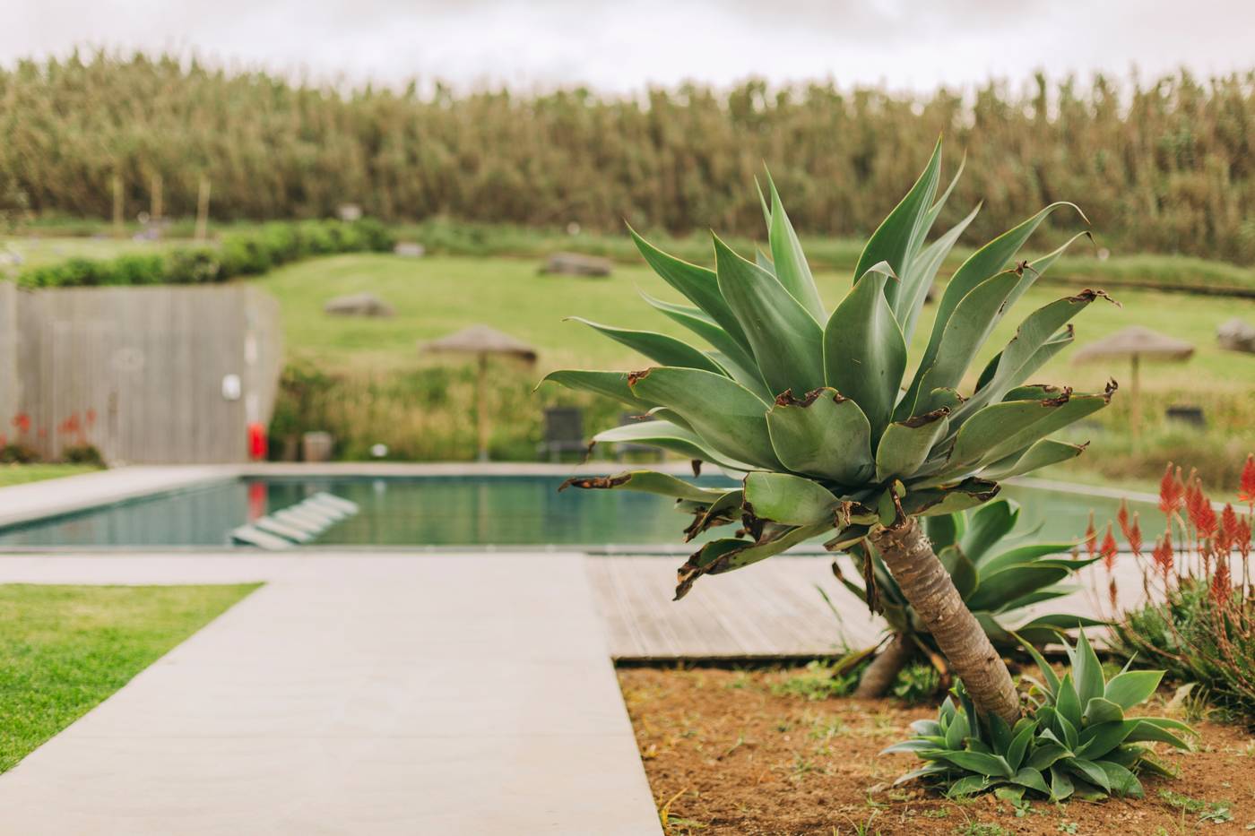 Santa-Barbara-Eco-Beach-Resort-Pool-4