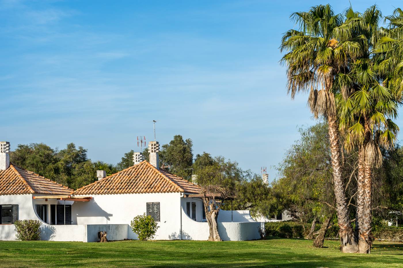 Pedras-d-el-Rei-General-view-9