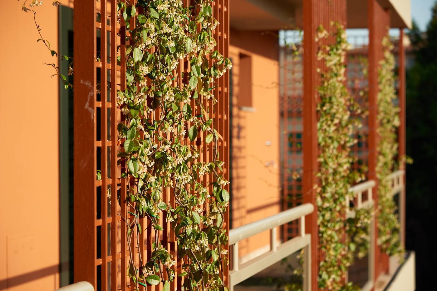 Forte16-Apartments-View---Spa-General-view-60