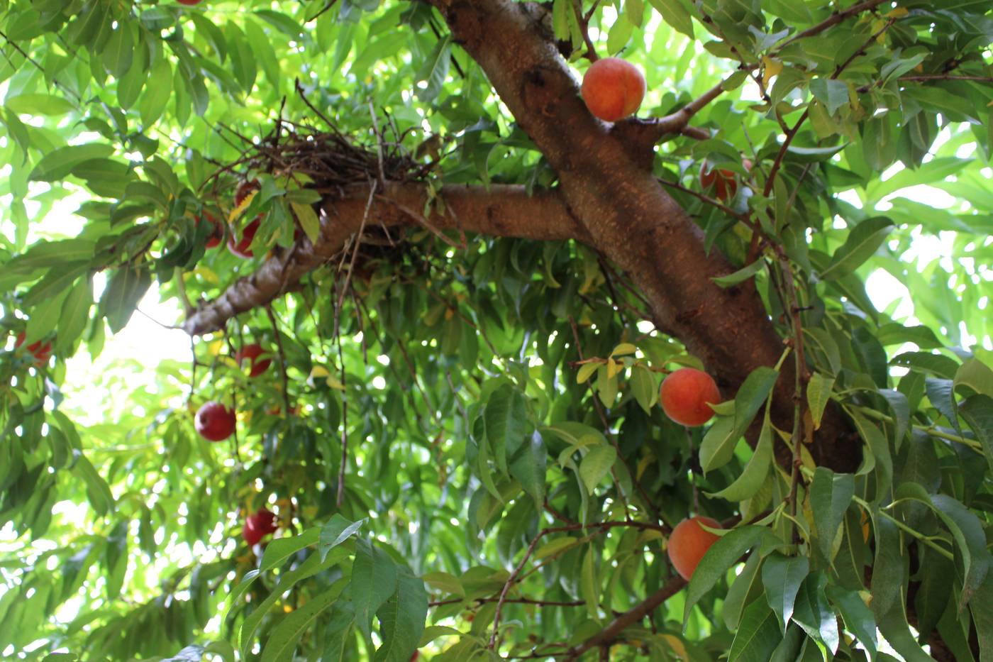 Hilton Garden Inn Atlanta Downtown-United States-ATLANTA-General view-4