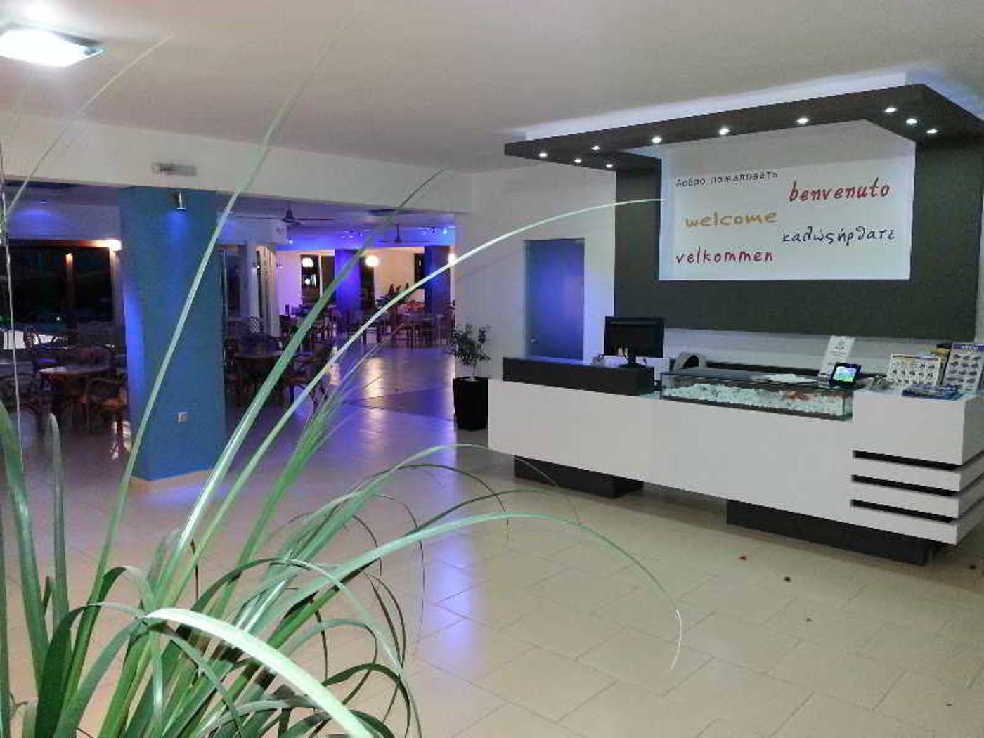 Zoes-Hotel-Lobby-57