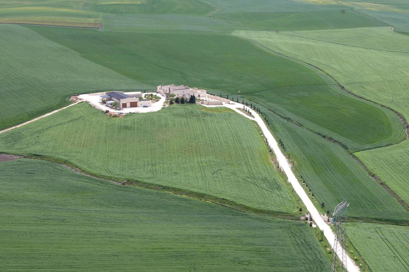 Tenuta Danesi-Italy-MATERA-General view-10