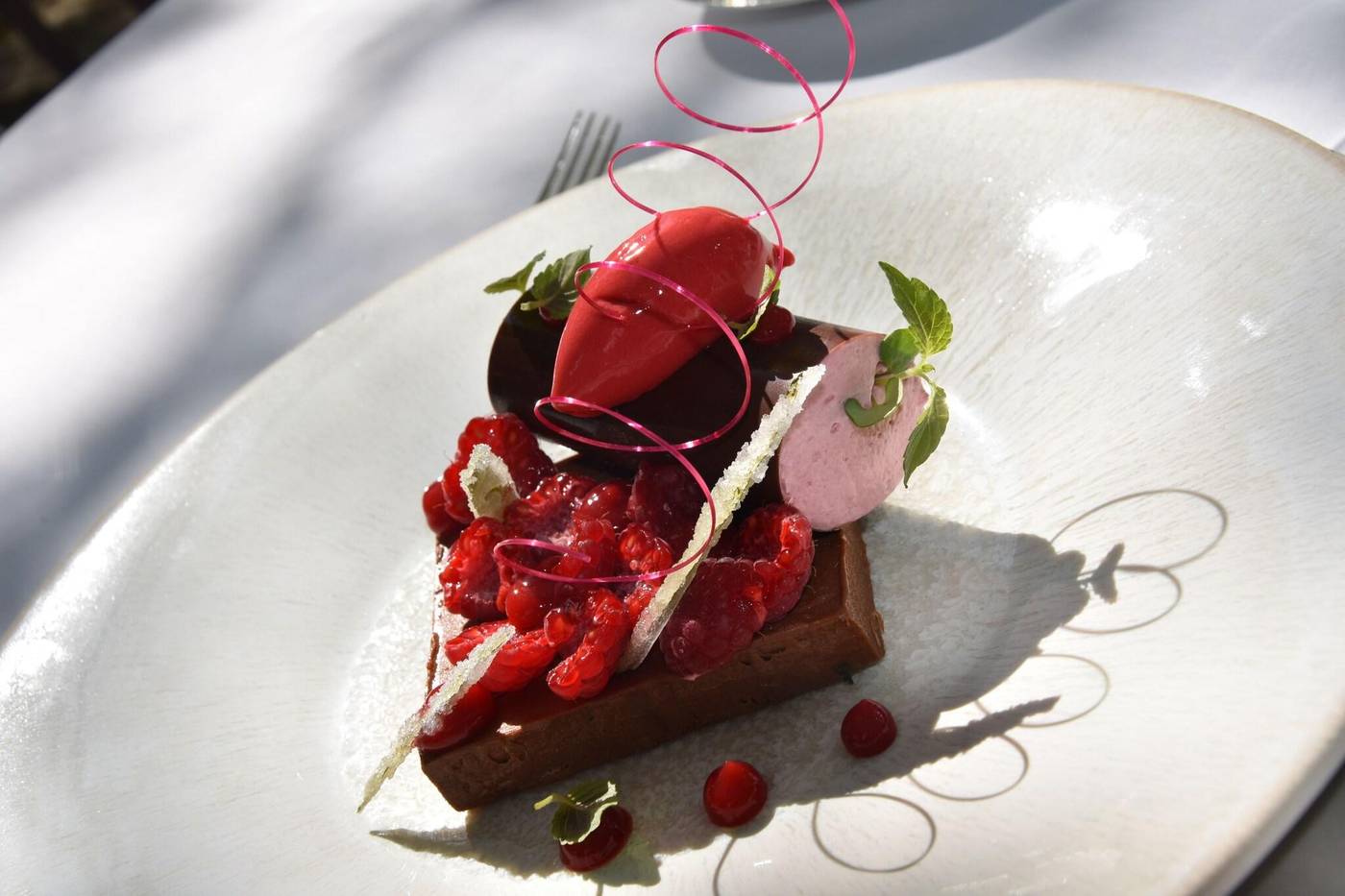 Hôtel Chavant-France-BRESSON-Restaurant-6