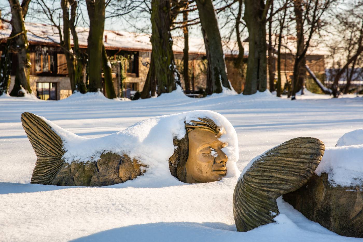 Dwor-w-Tomaszowicach-General-view-53