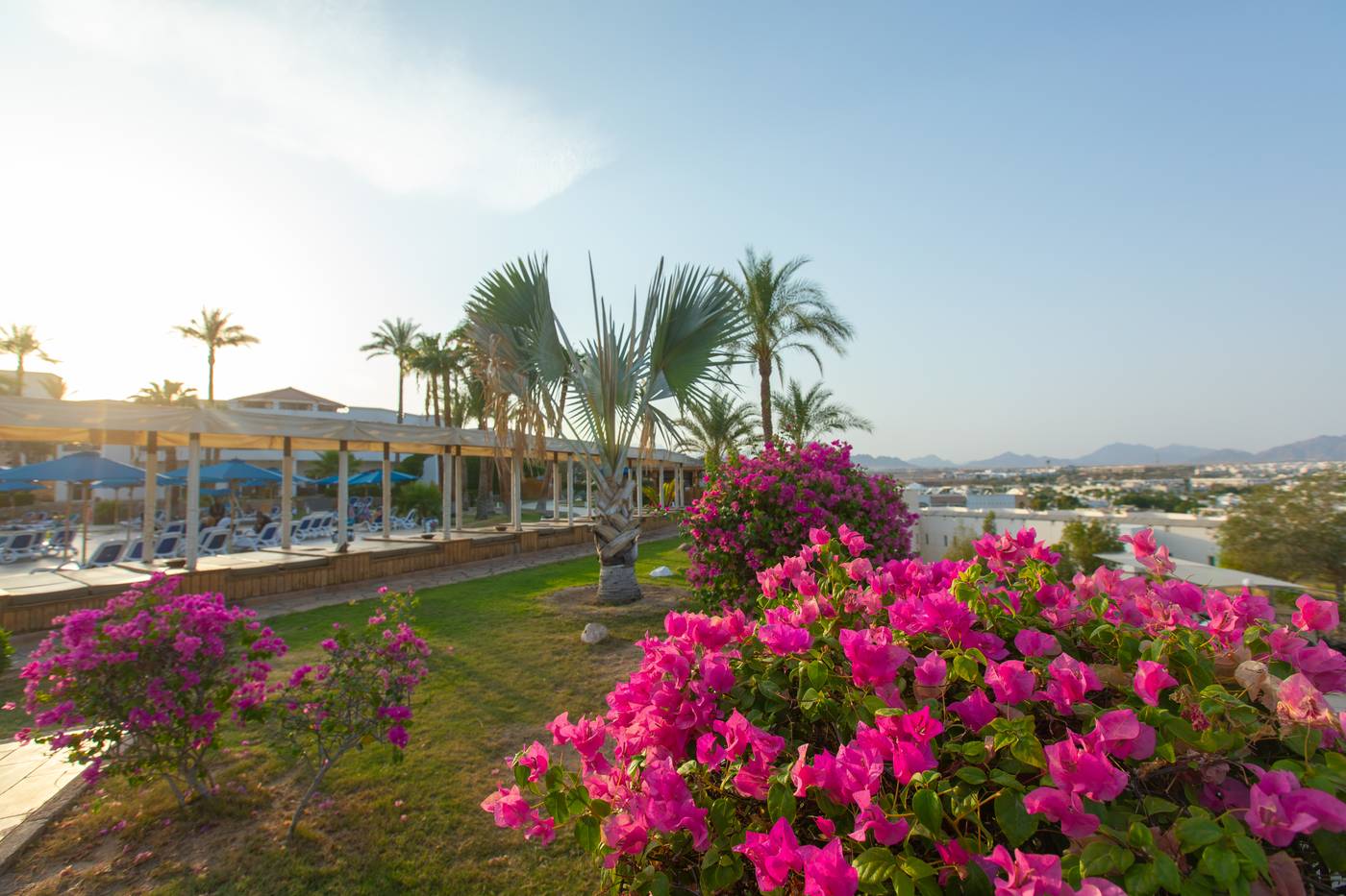 Naama Bay Hotel
