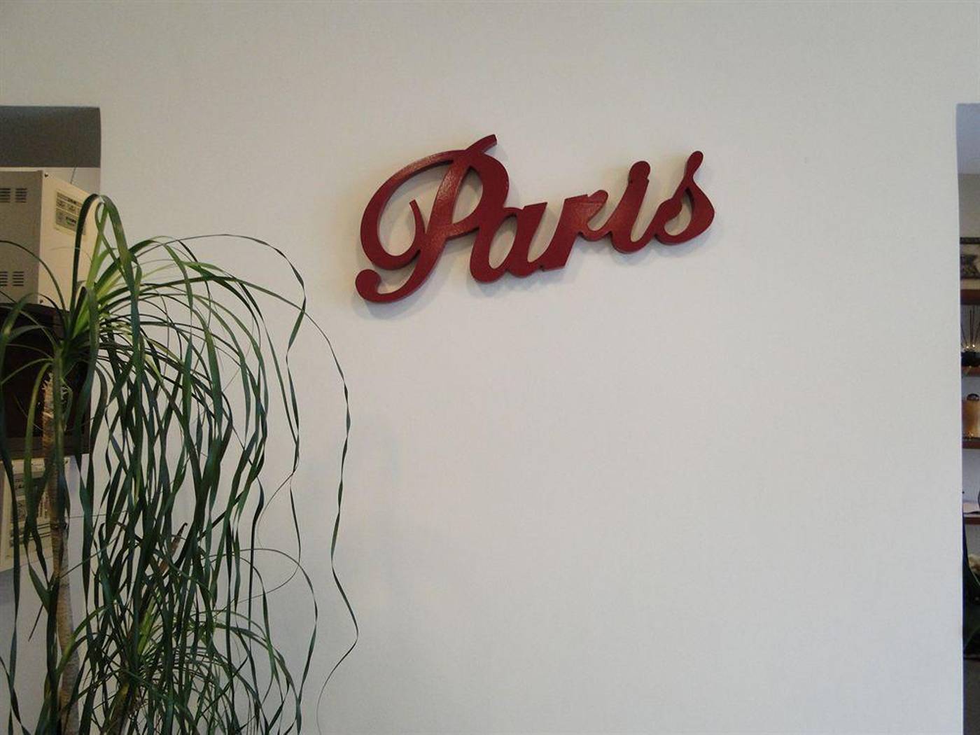 Paris-General-view-8