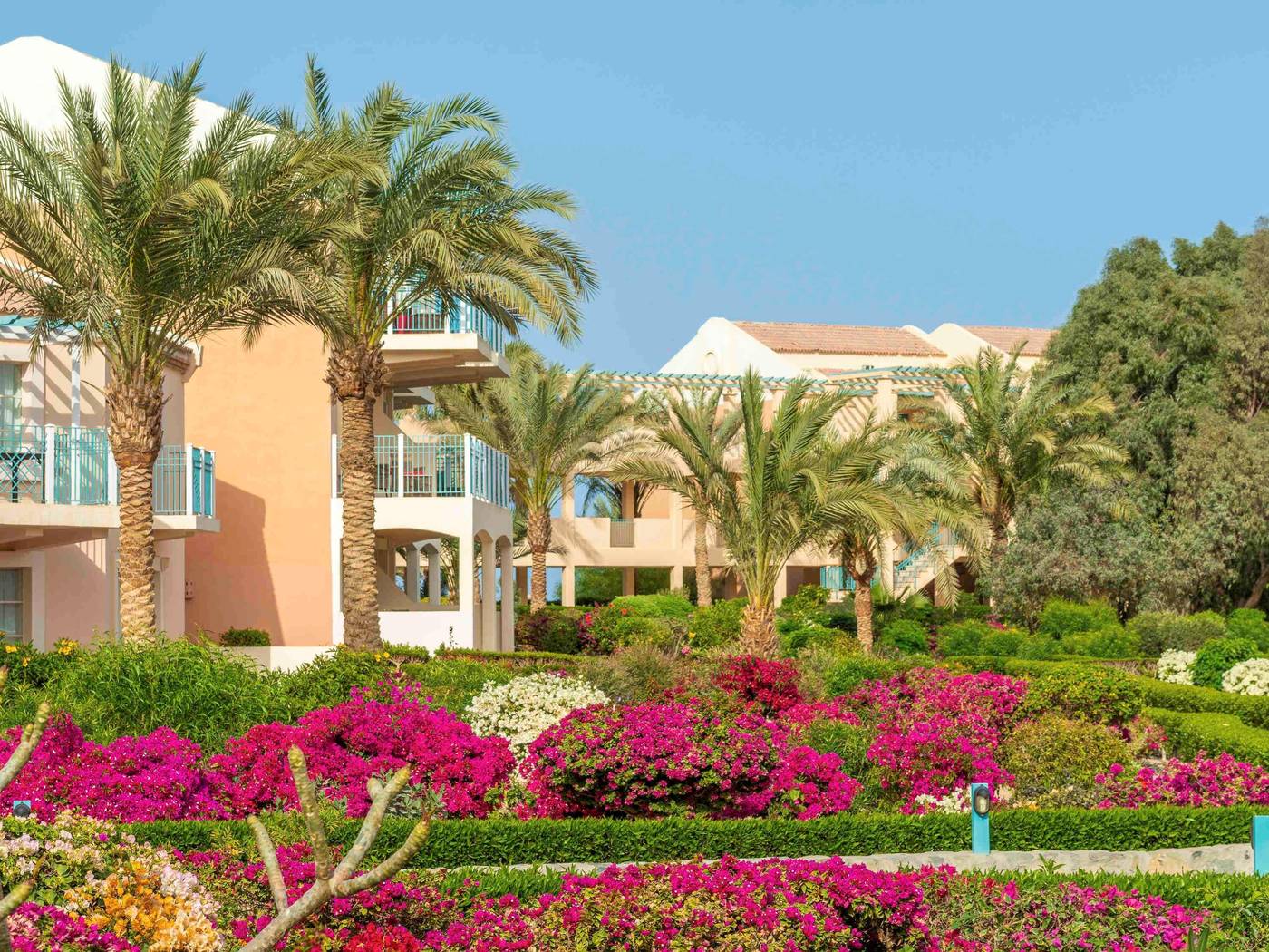 Movenpick-Resort---Spa-El-Gouna-Room-9