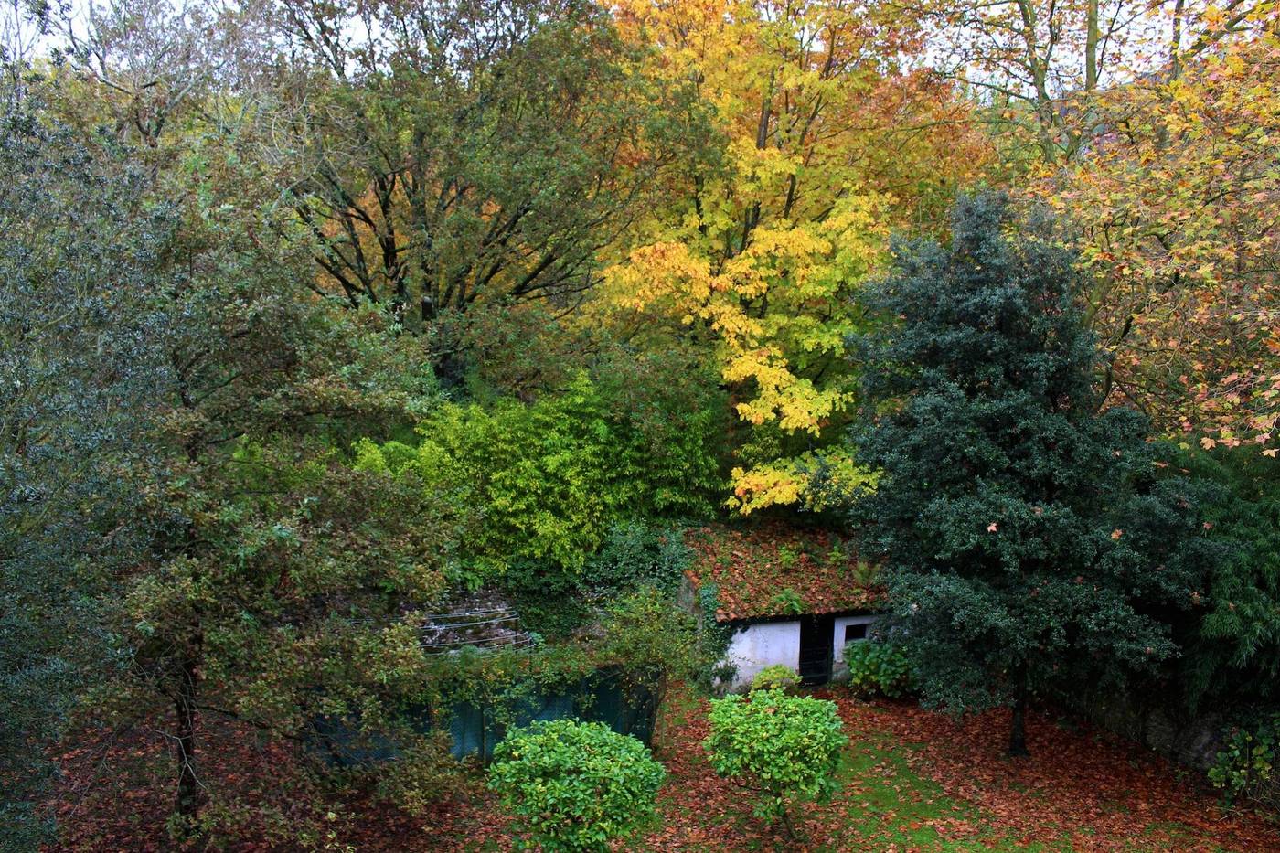 Hotel Casona El Arral-Spain-LIERGANES-General view-3