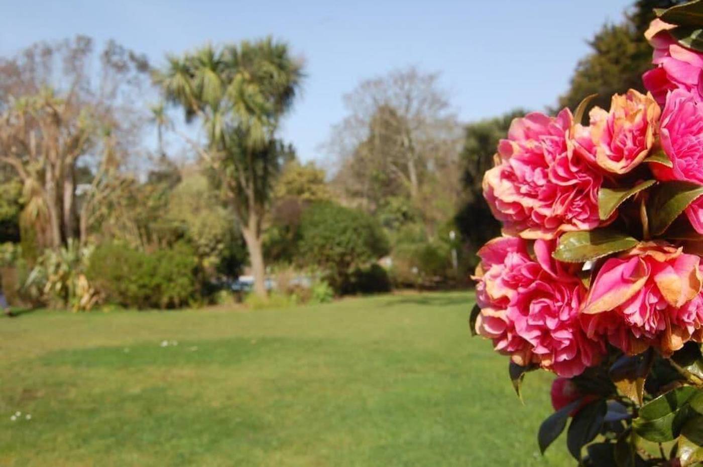 La Michele Hotel-United Kingdom-St. Peter Port-General view-7