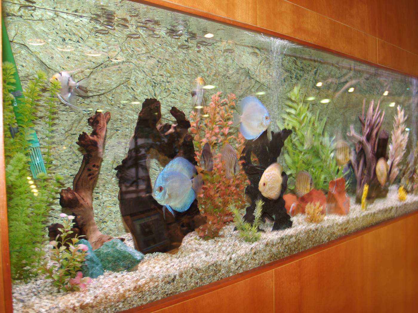 Montemar-Maritim-Lobby-20