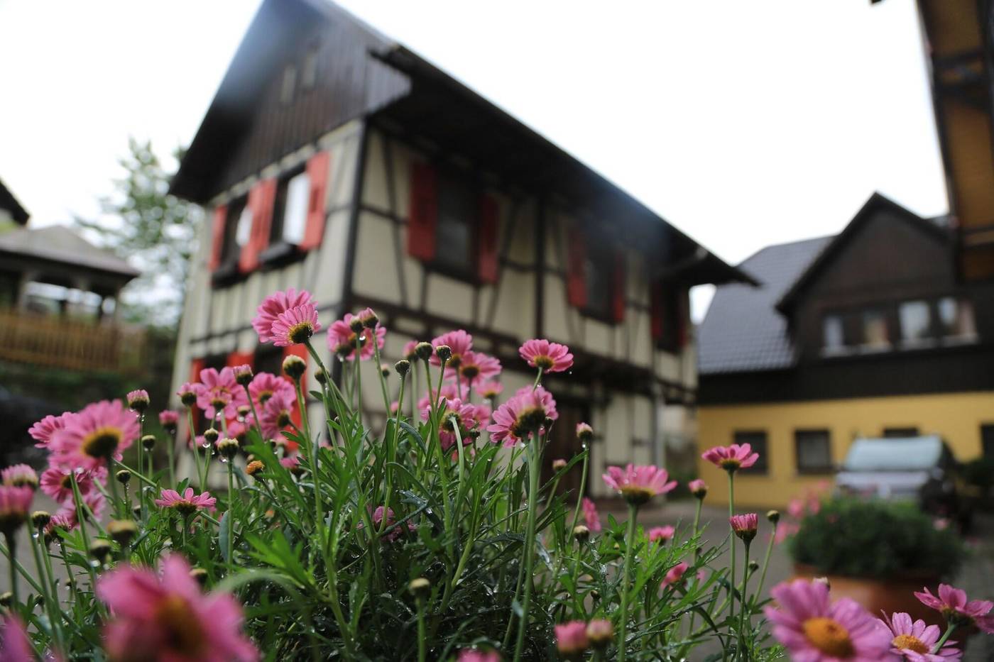 Das Waldhaus-Germany-FORBACH-General view-10