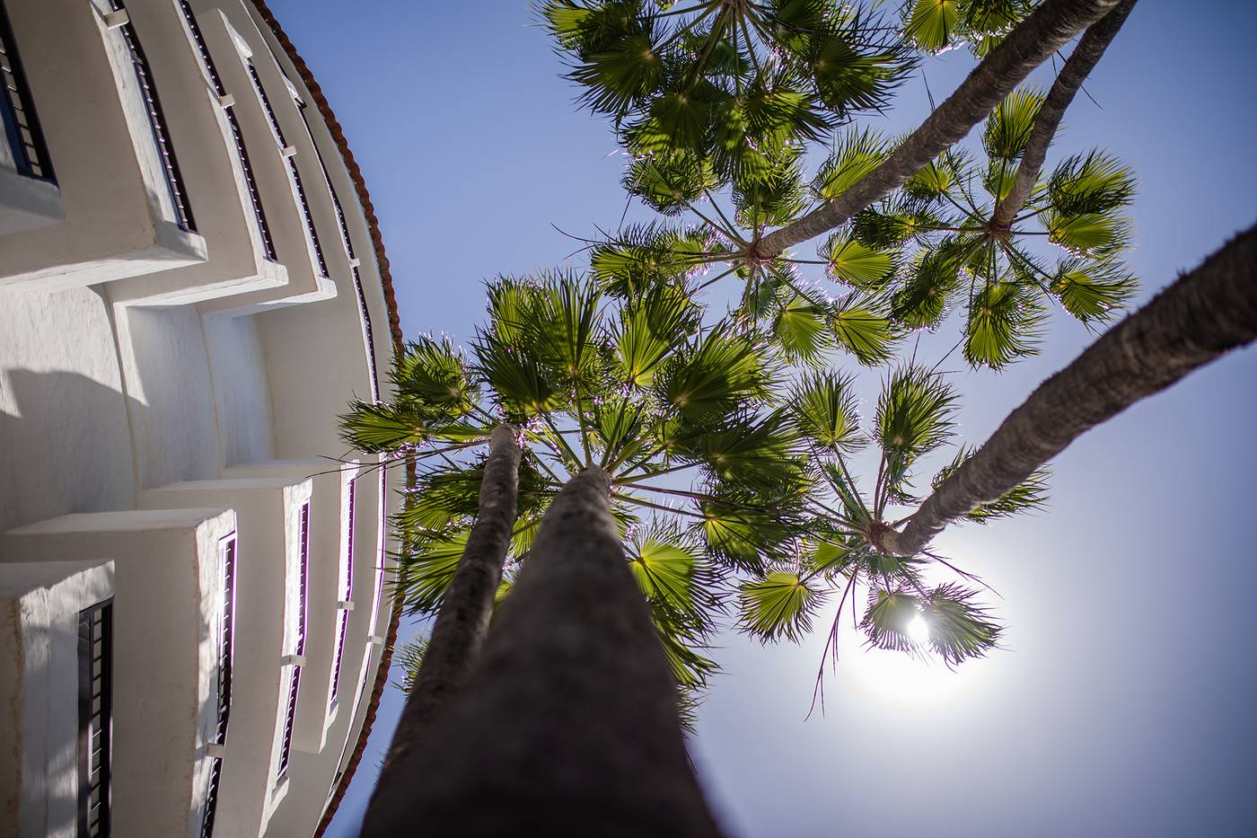 Servatur-Waikiki-Pool-12