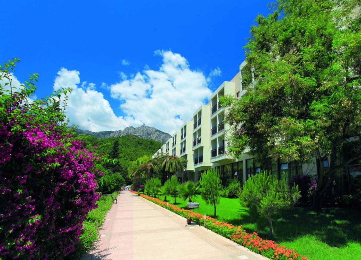 Majesty-Club-La-Mer-Art-General-view-7