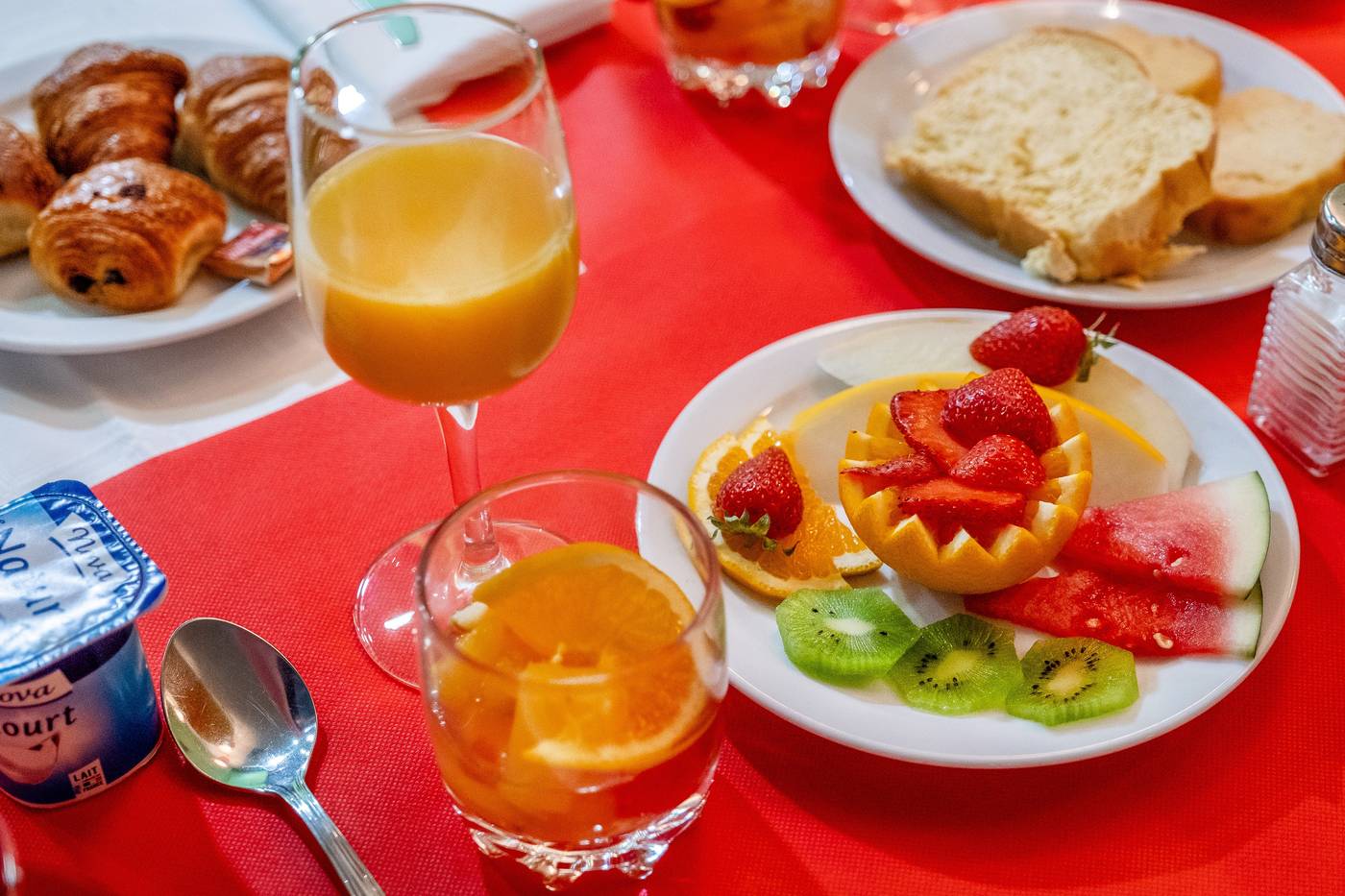 Panorama-France-LOURDES-General view-4