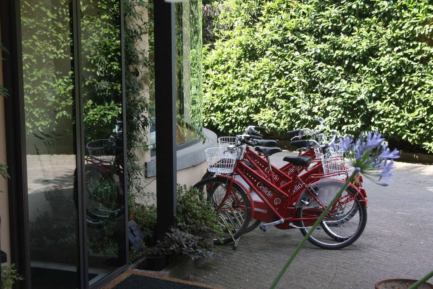 Albergo-Celide-Sports-and-Entertainment-7