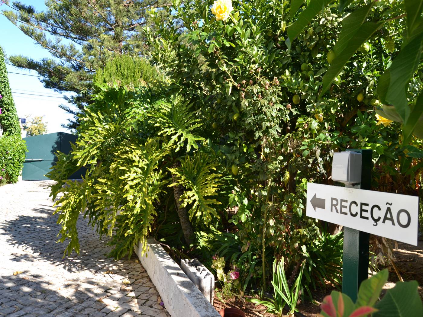 Flor-Da-Laranja-General-view-20