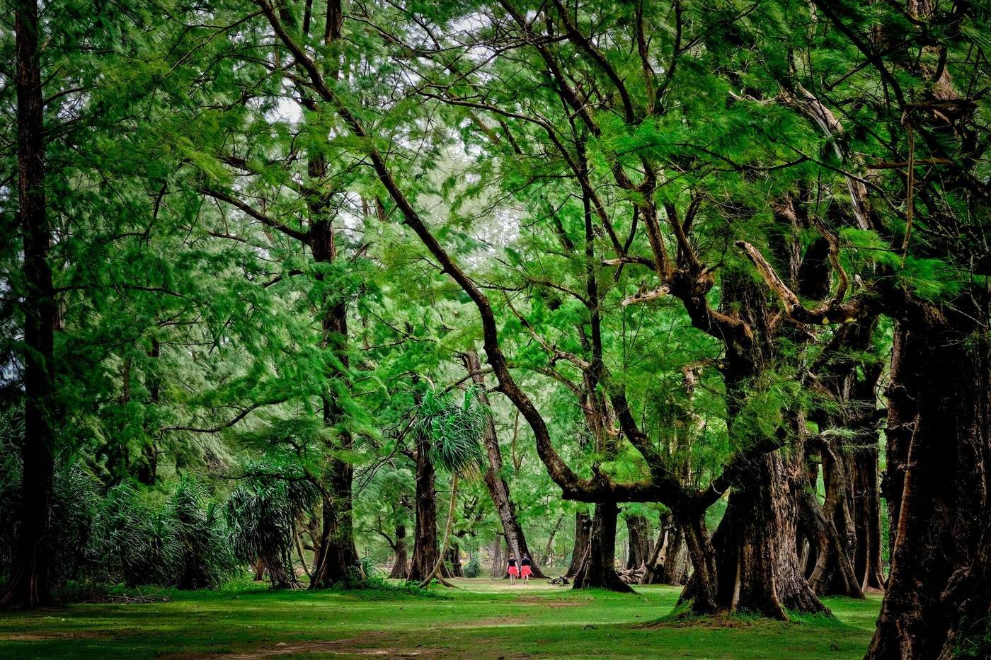 Naiyang Park Resort-Thailand-SA KHU-General view-5