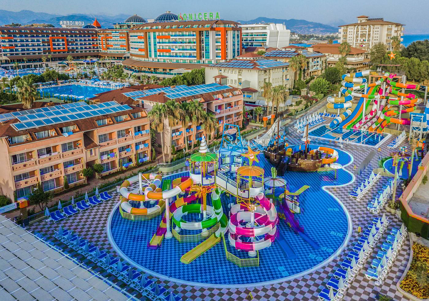 Lonicera--World-Pool-1