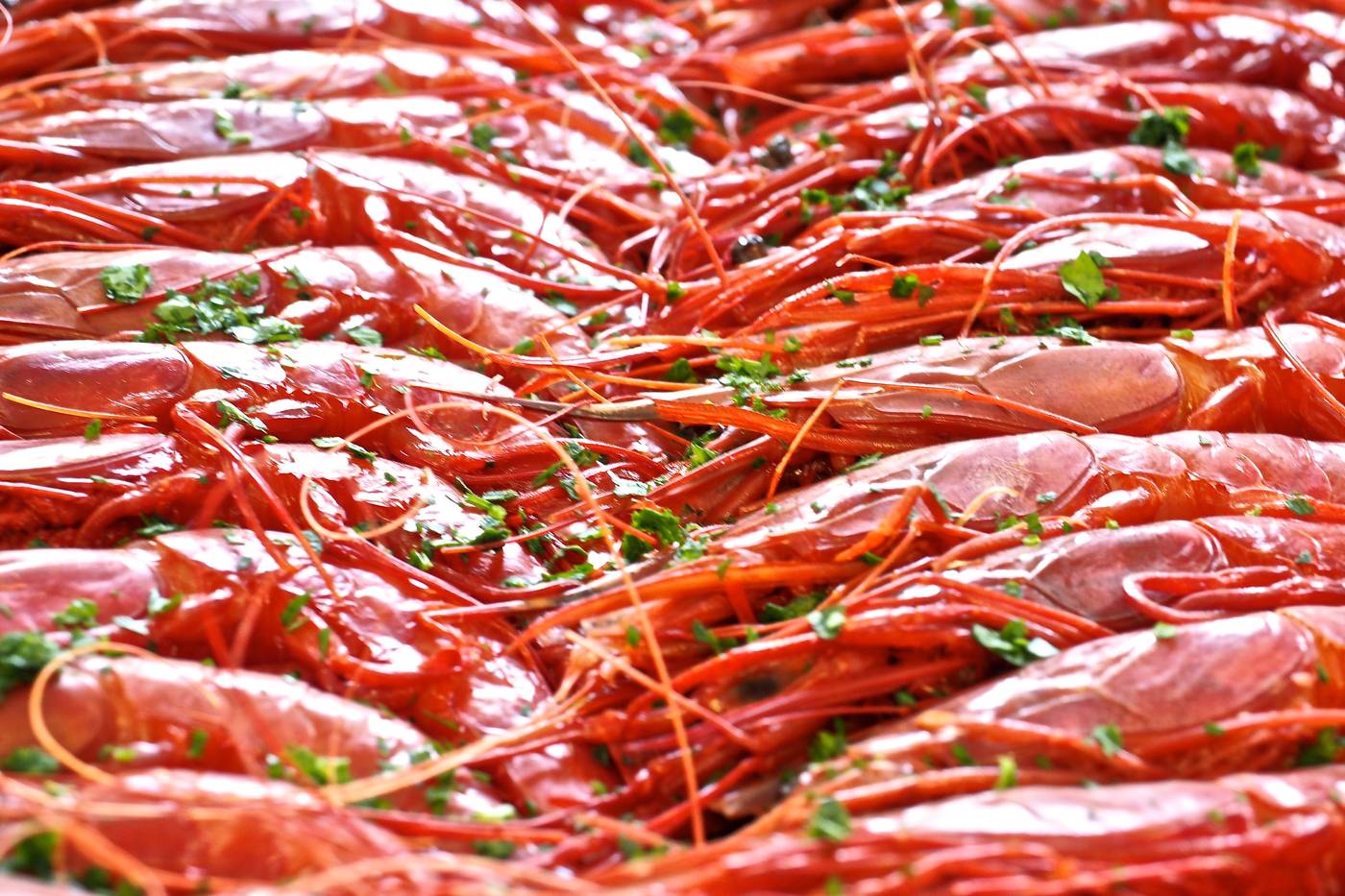 Hotel-Punta-Negra-Restaurant-89