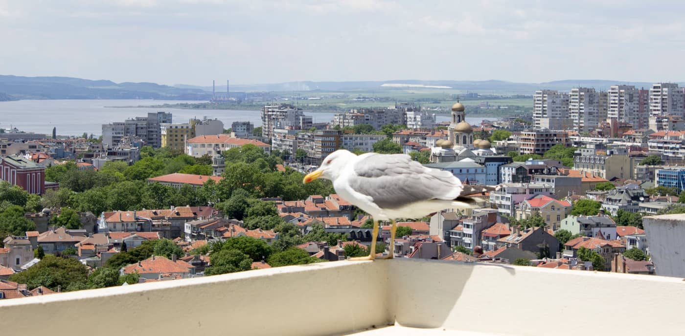 Hotel-Cherno-More-Terrace-36