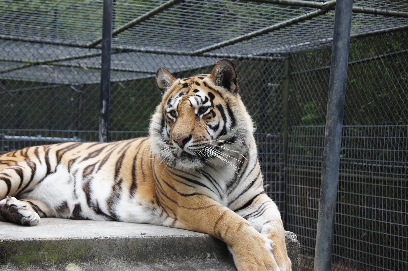 Hilton Garden Inn Atlanta Downtown-United States-ATLANTA-General view-5
