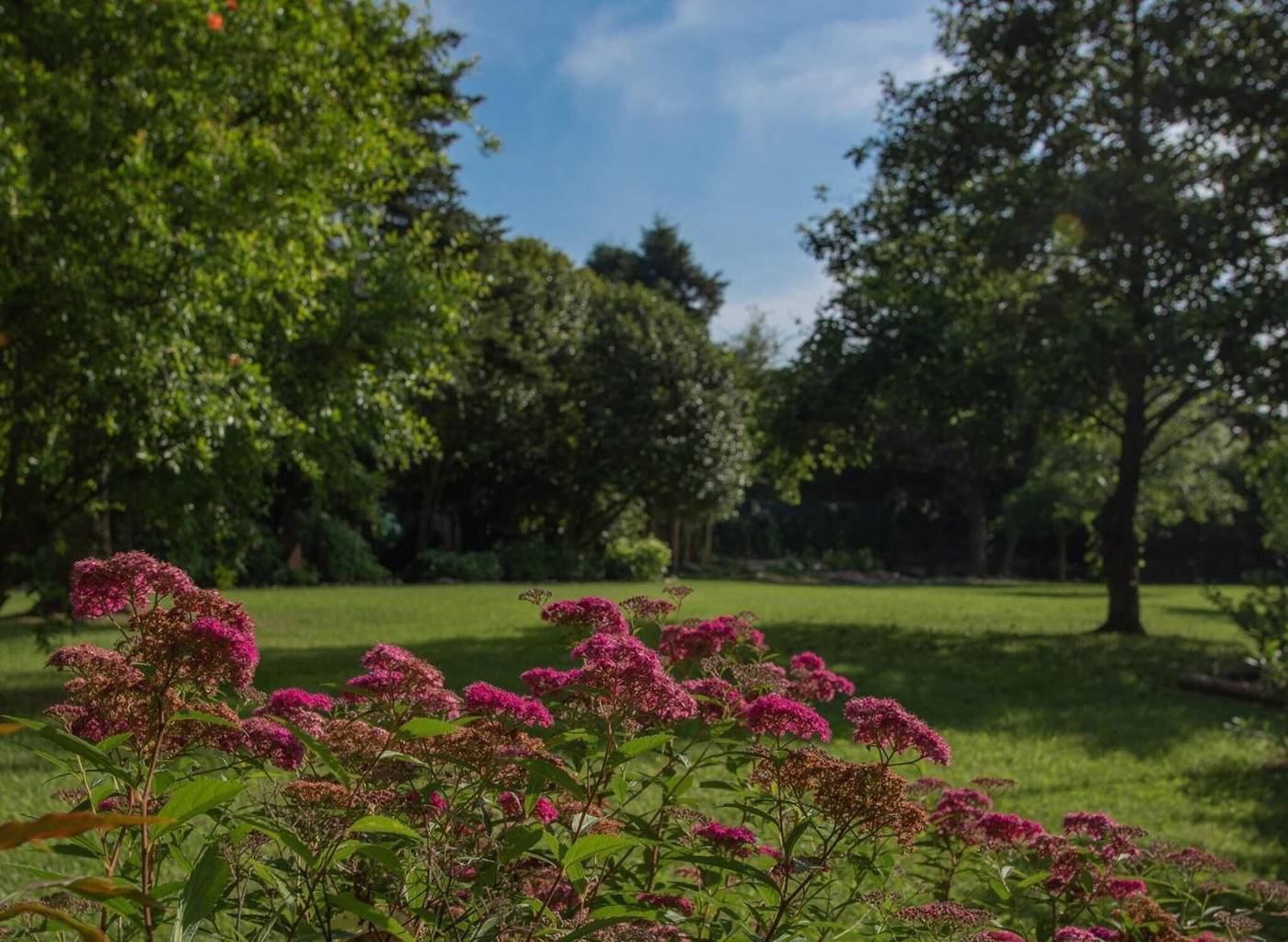 Relais-Corte-Rodeschi-General-view-52