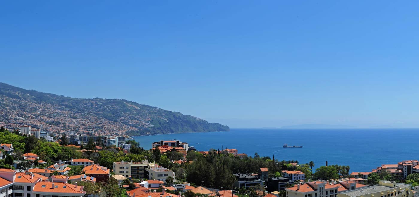 Dorisol-Mimosa-Bar-65