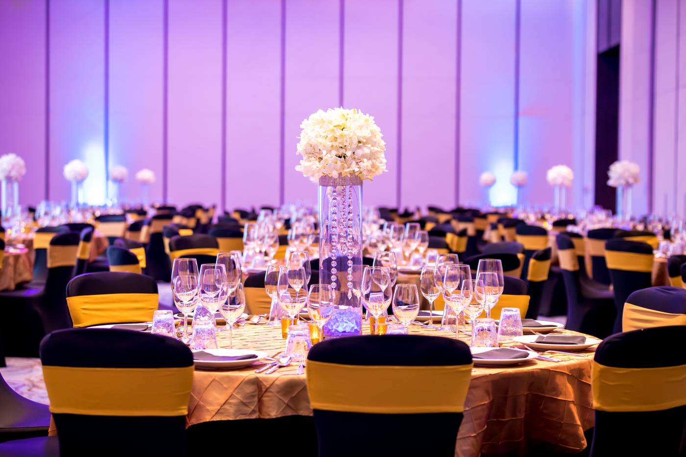 SAii-Laguna-Phuket-Conferences-66