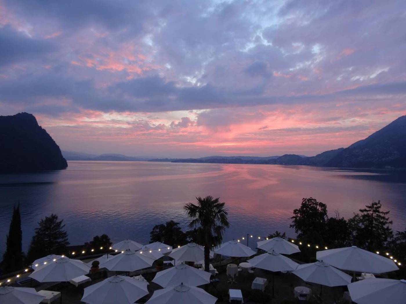 Flora Alpina-Switzerland-VITZNAU -General view-10