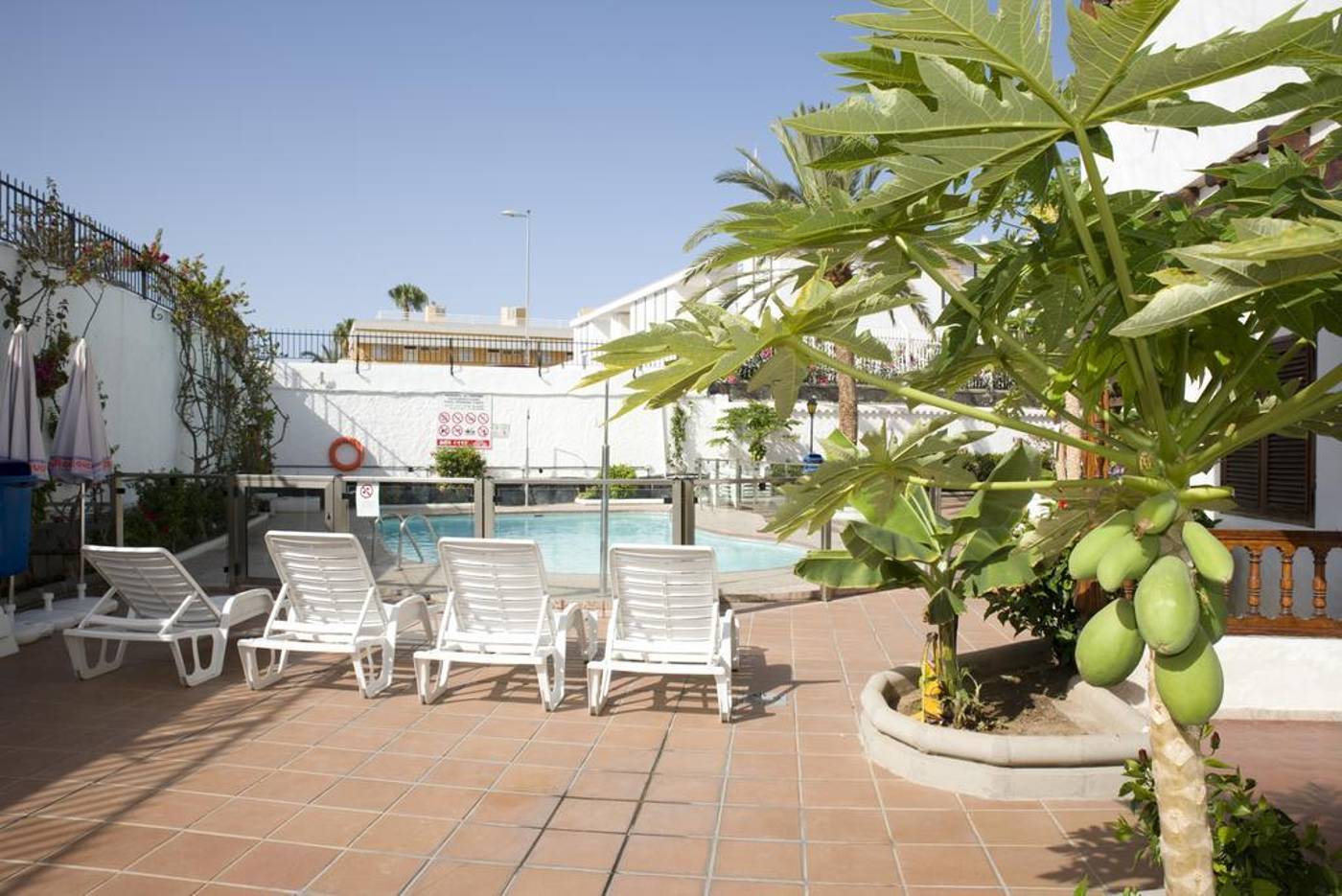 Las-Orquideas-General-view-5