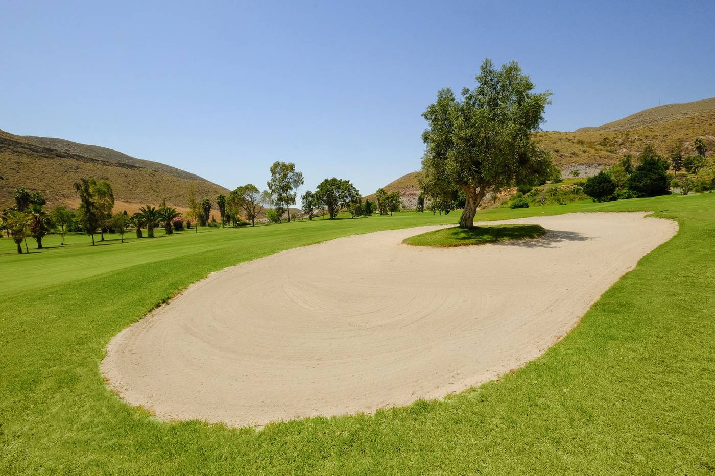 Hotel-Envia-Almeria-Spa---Golf-Sports-and-Entertainment-55