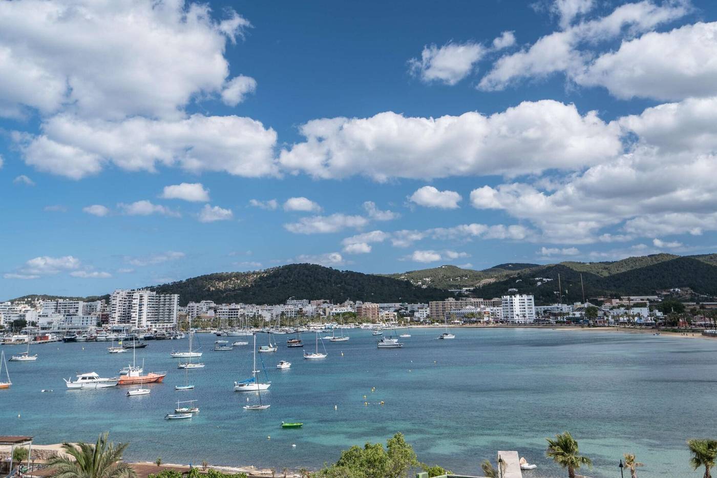 THB-Ocean-Beach-Room-66