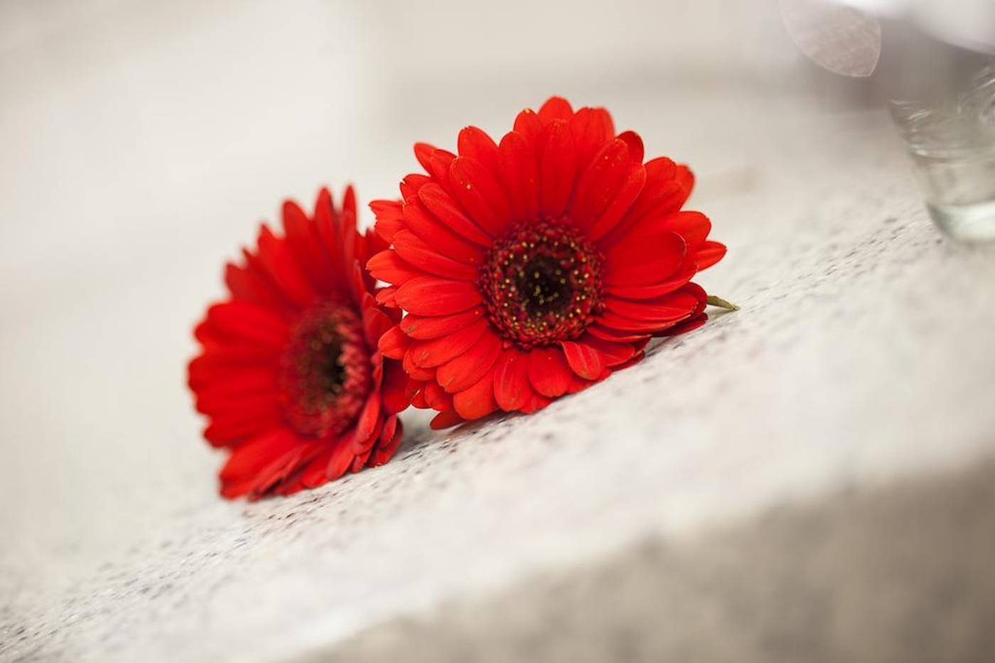 Aparion-Apartments-Berlin-General-view-19