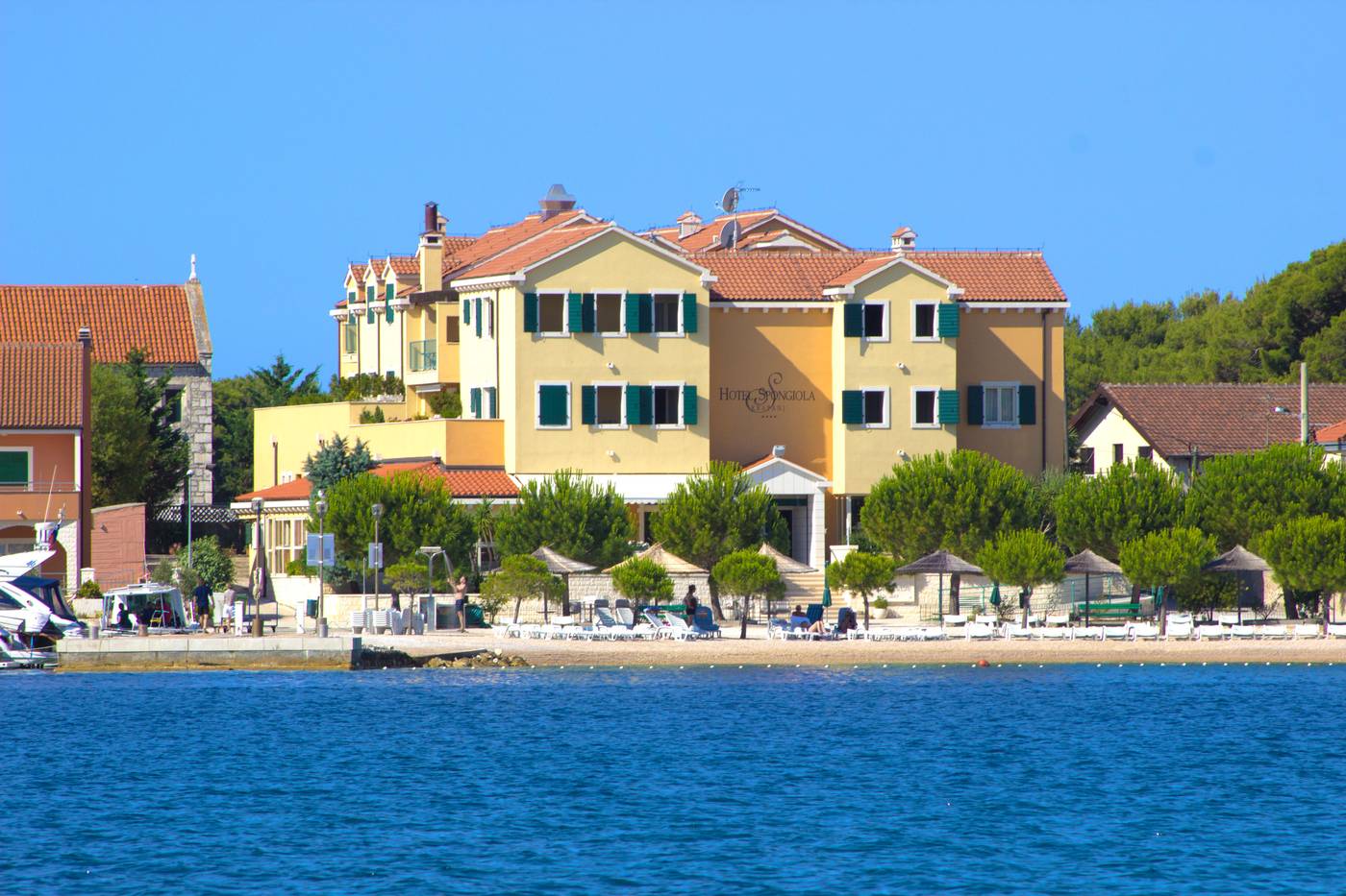 Spongiola-General-view-65