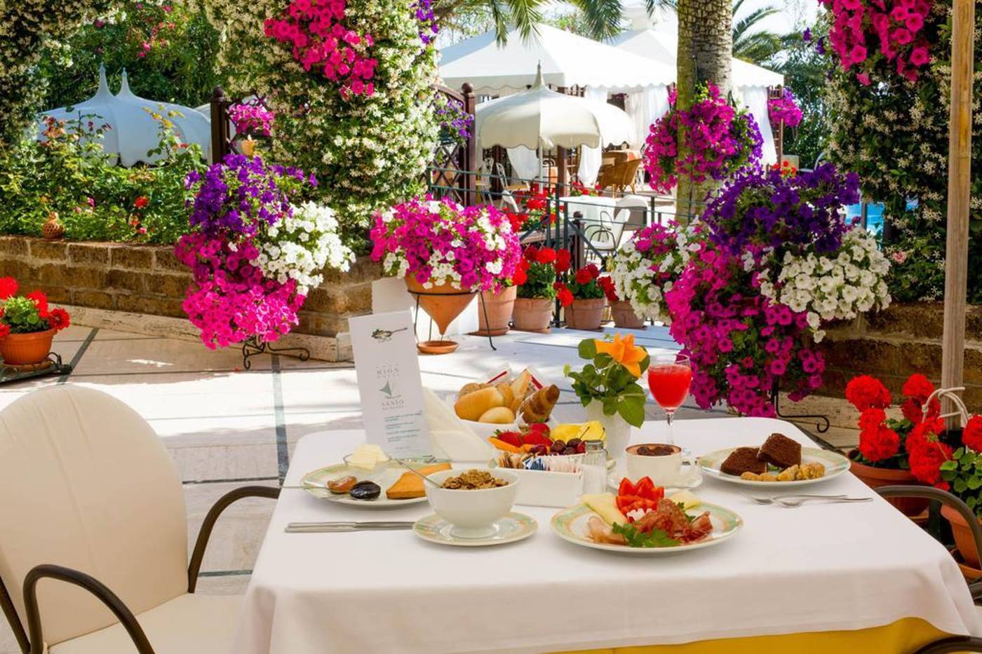 Mion-General-view-17