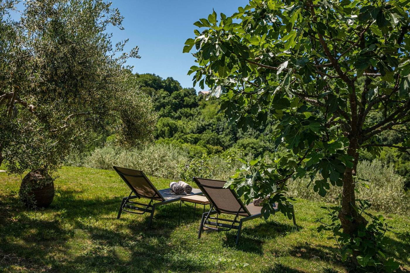 San Canzian Hotel and Residences-Croatia-Buje-General view-7