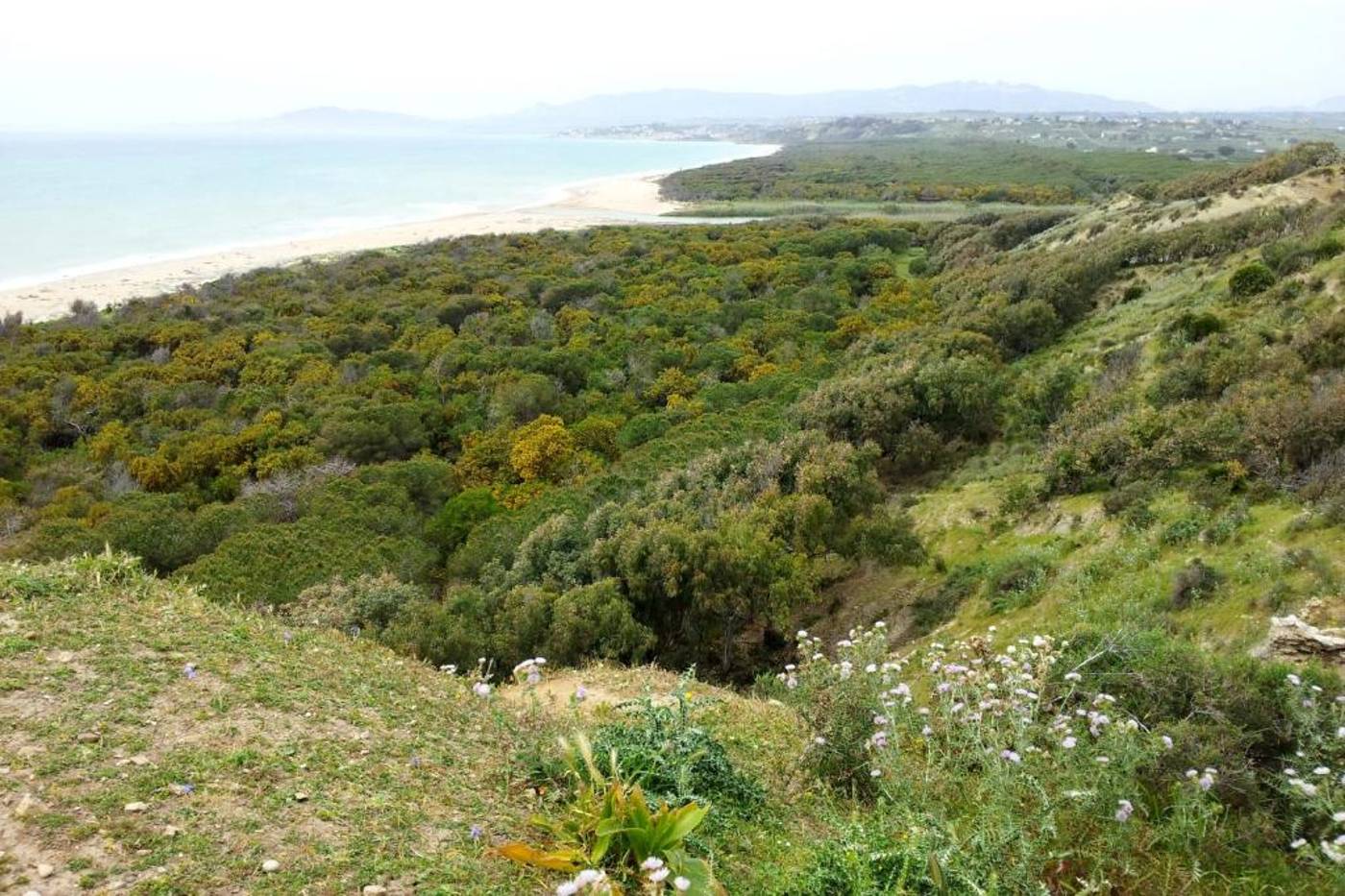 Dei Pini-Italy-PORTO EMPEDOCLE (AG)-General view-1