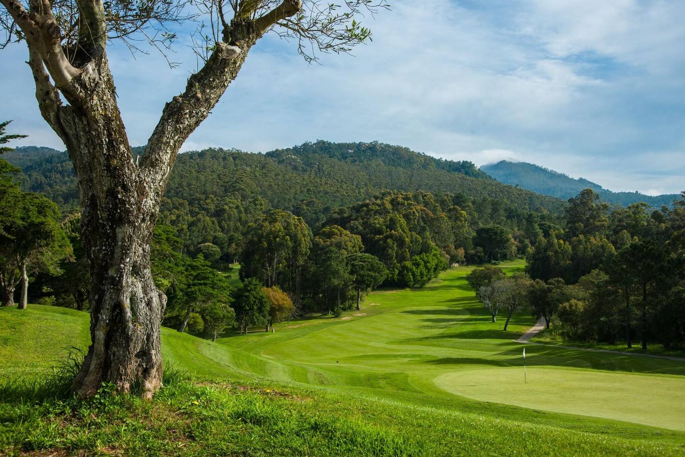 Penha-Longa-Sports-and-Entertainment-106