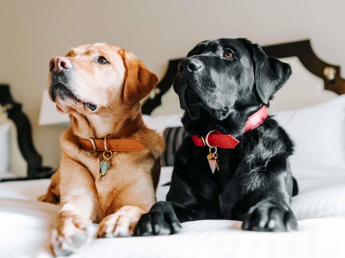 Fairmont-Vancouver-General-view-8