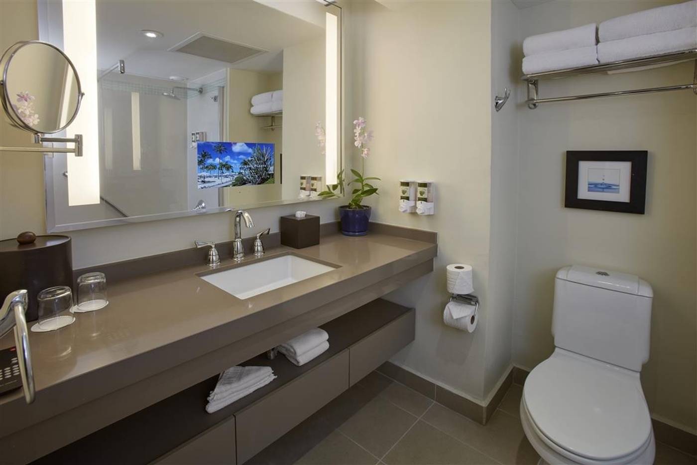 Bucuti & Tara Beach Resort