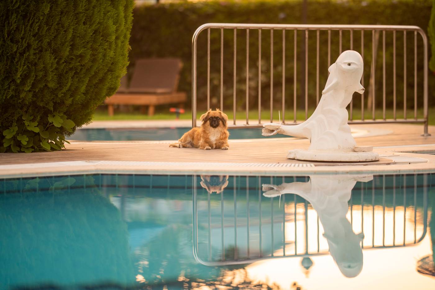 Golden-Moon-Hotel-Sports-and-Entertainment-11