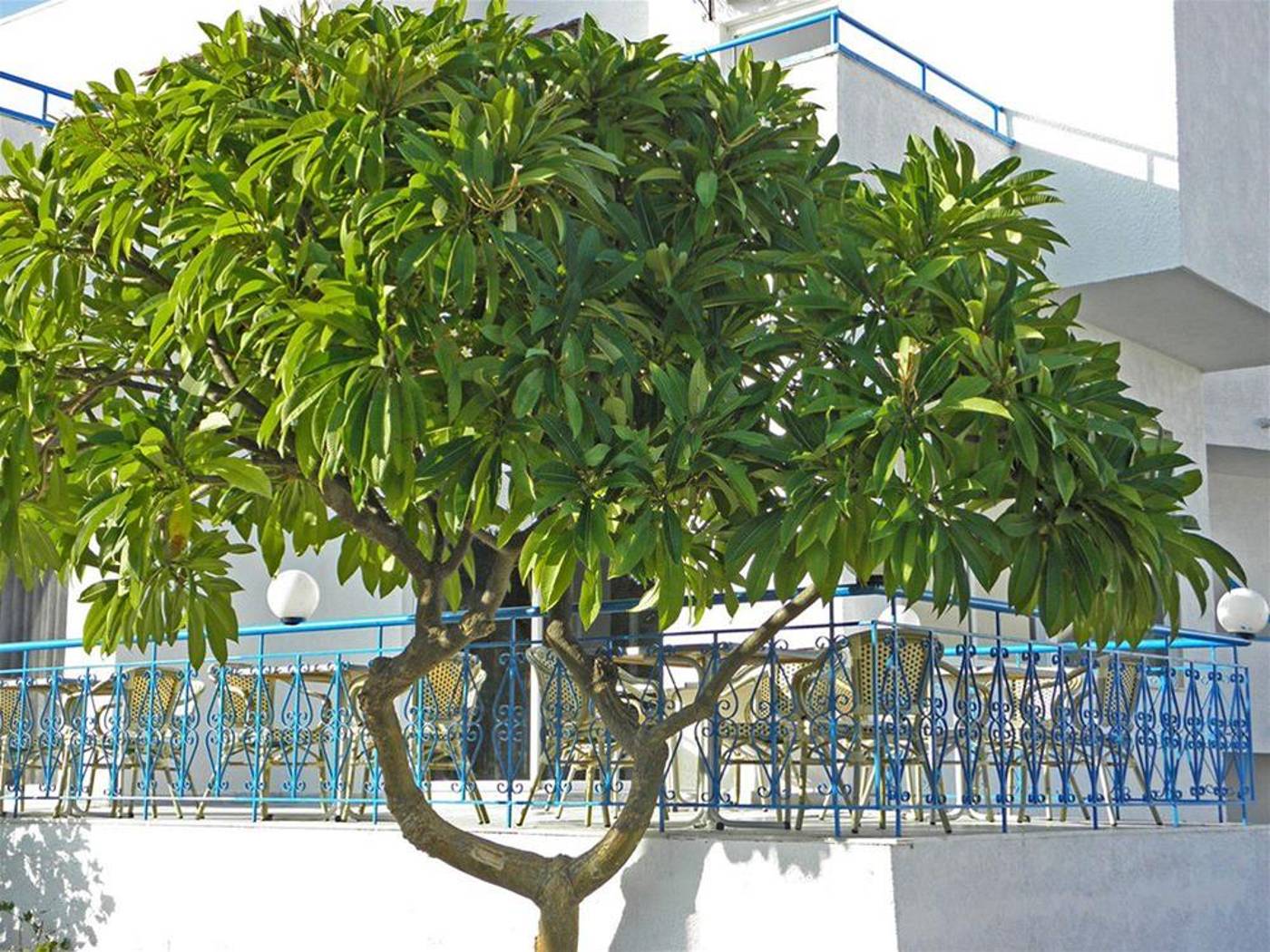 Summer-Breeze-General-view-1