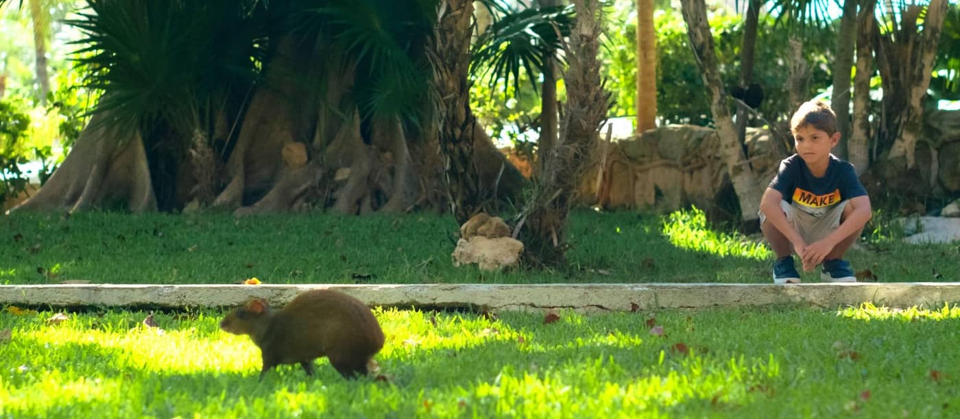 Allegro-Playacar-Terrace-16