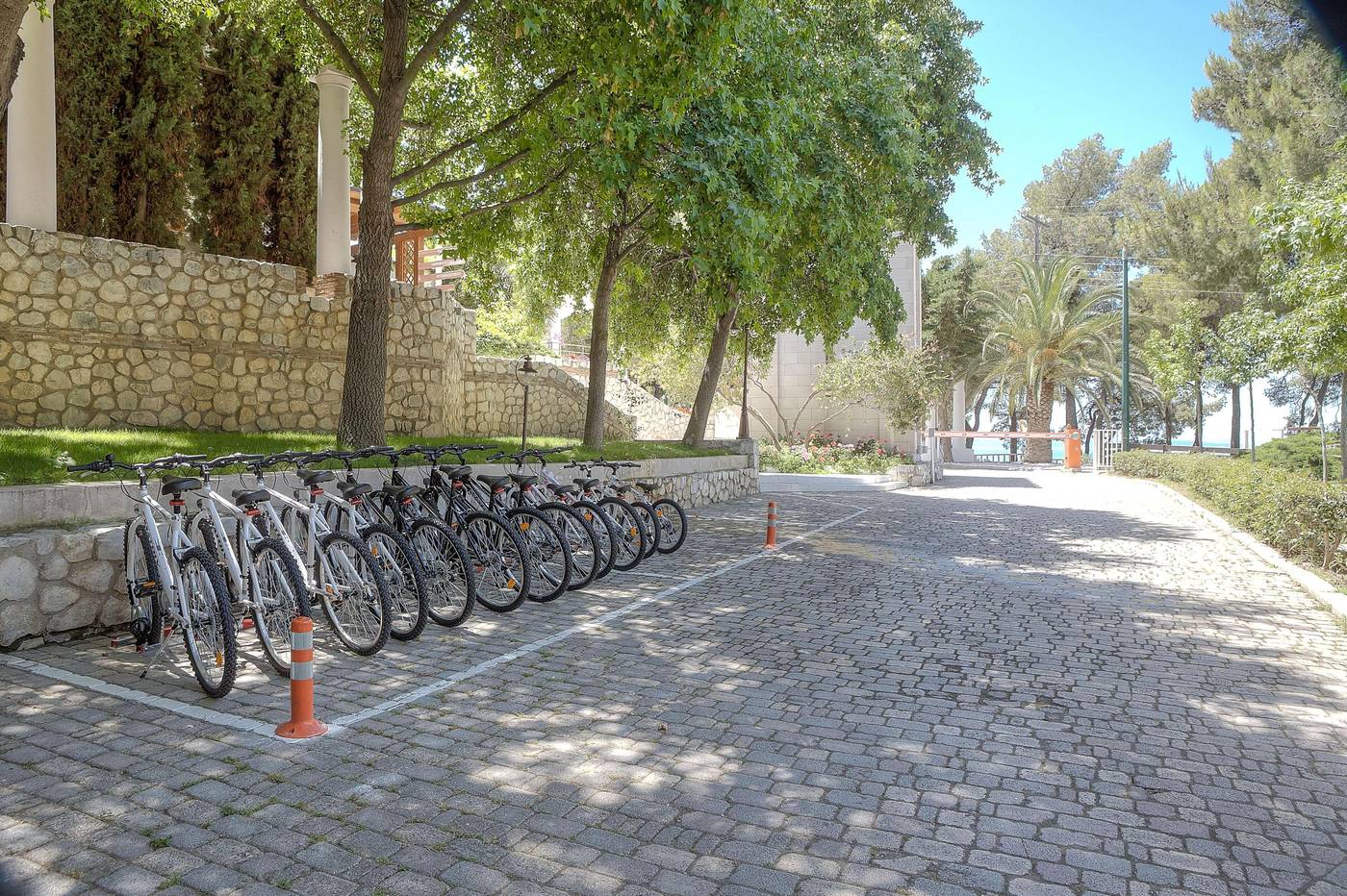 Athena-Pallas--Sports-and-Entertainment-23