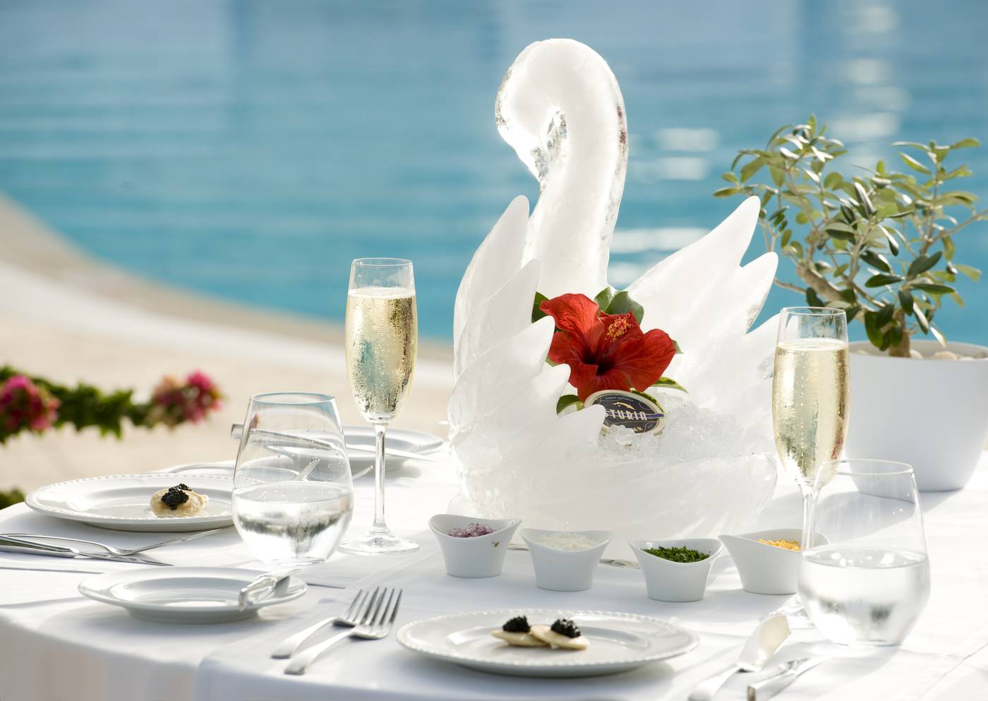 Pine-Cliffs-Hotel--a-Luxury-Collection-Resort-Restaurant-18