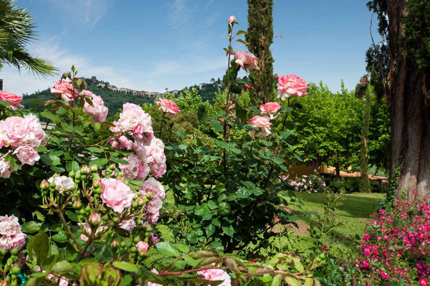 Michelangelo & Spa-Italy-MONTECATINI TERME-General view-5
