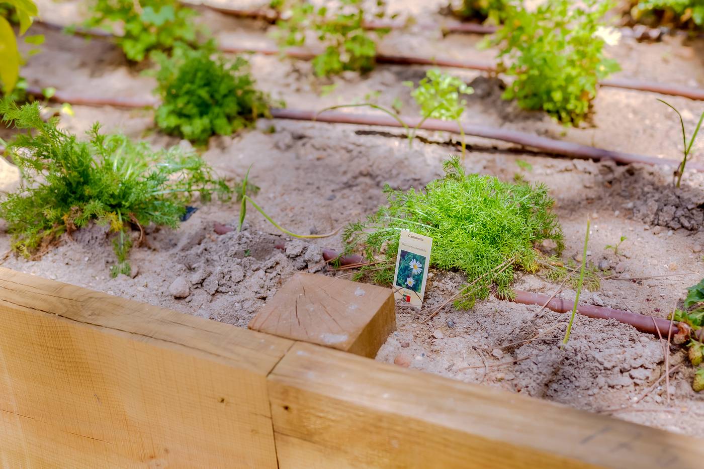 Falesia-Hotel---Adults-Only-General-view-51