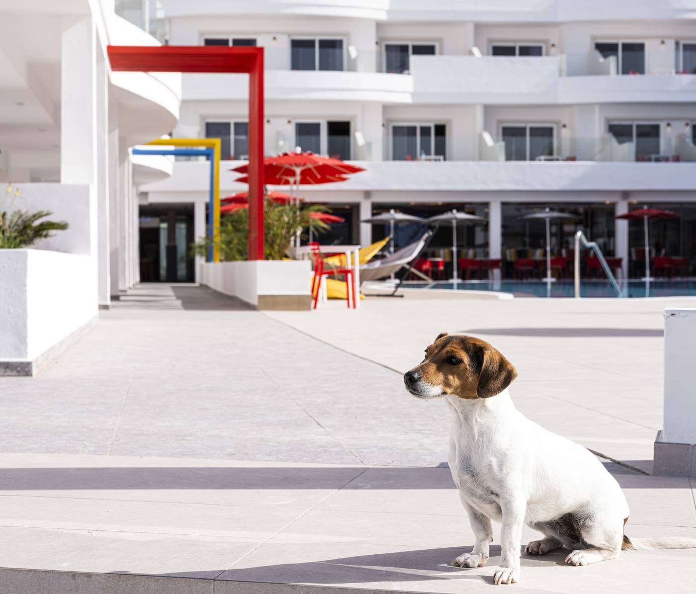 Sholeo-Lodges-Los-Gigantes---Adults-Recommended-Sports-and-Entertainment-13