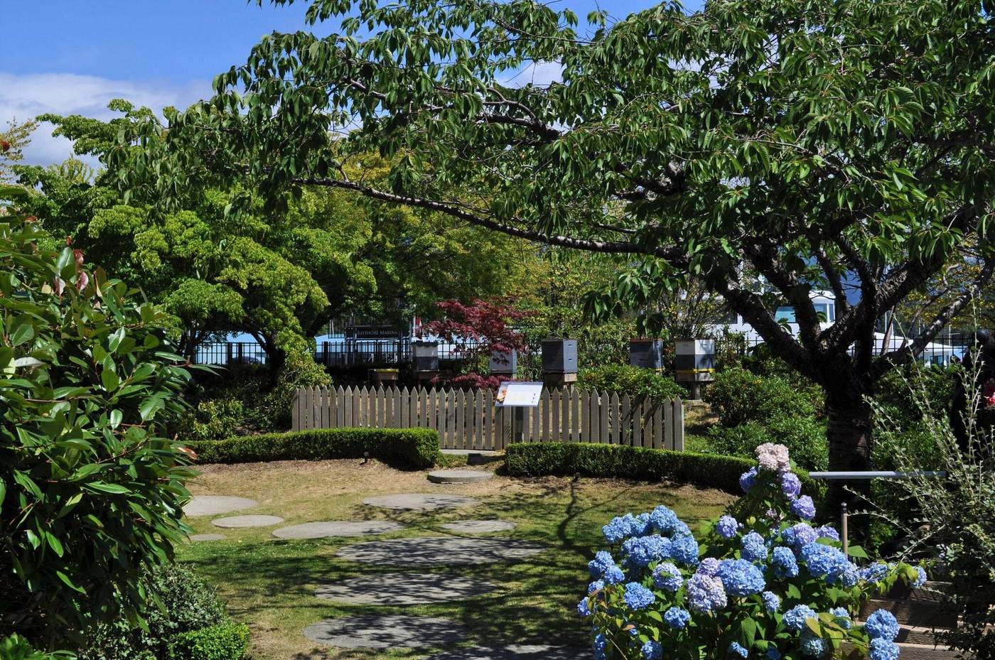 Westin-Bayshore-Vancouver-Terrace-99