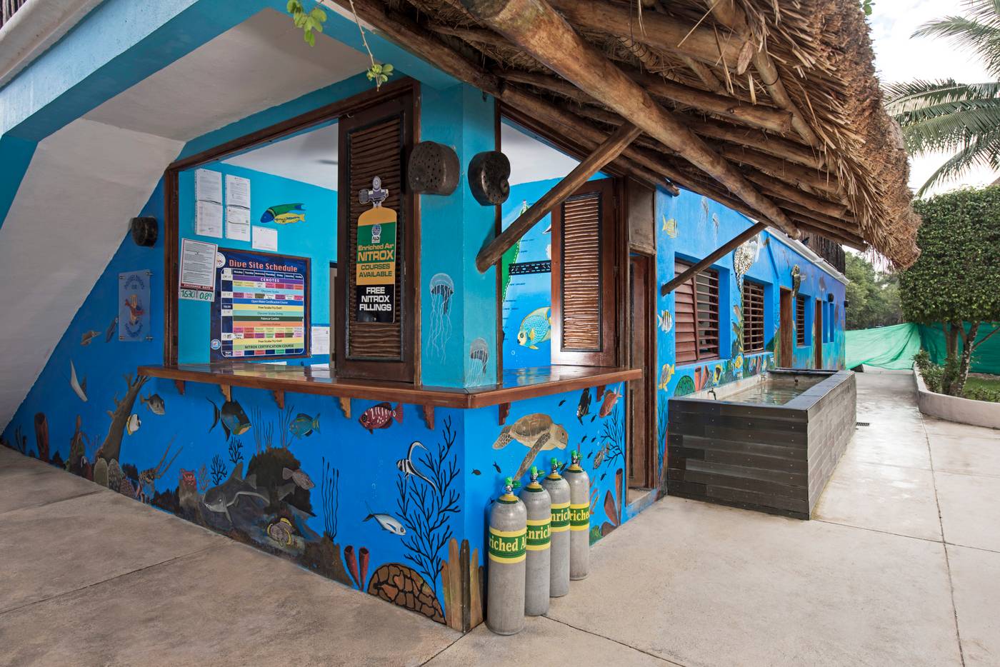 Iberostar-Cozumel-All-Inclusive-Sports-and-Entertainment-56